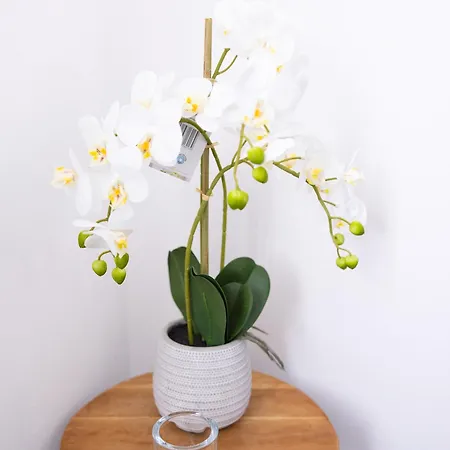 Exclusive Feeling Flat *