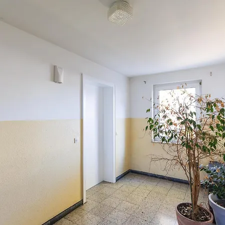 Exclusive Feeling Flat *